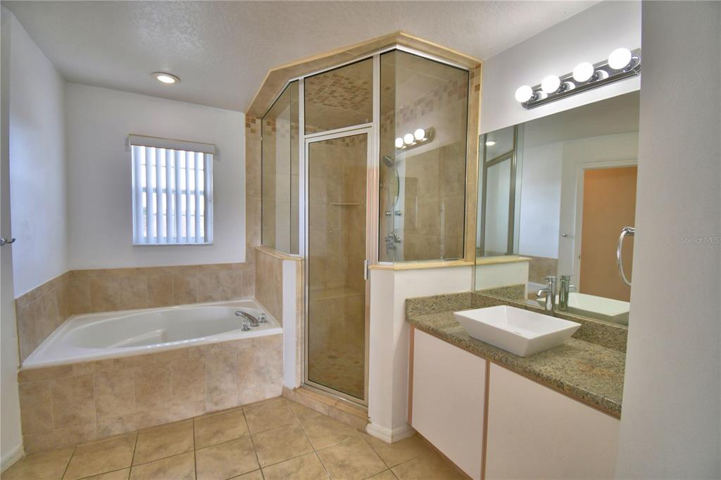 5368 Dahlia Reserve Drive Kissimmee, FL 34758 - Photo 60 of 83 a bathroom with a granite countertop tub sink and mirror
