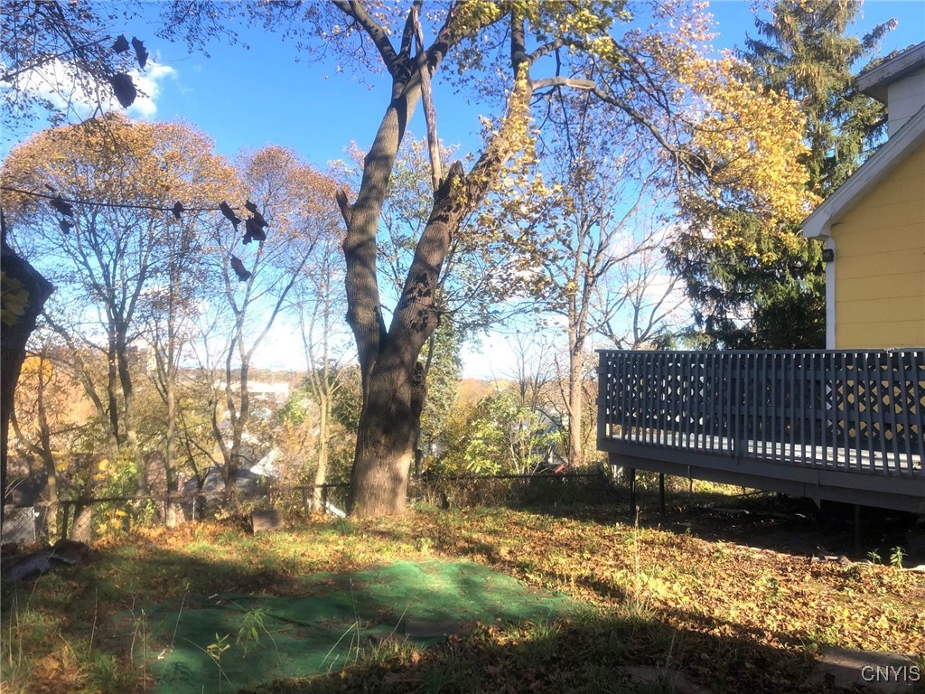 110 Spring Lane Syracuse, NY 13208 - Photo 39 of 40 Back Yard and Deck