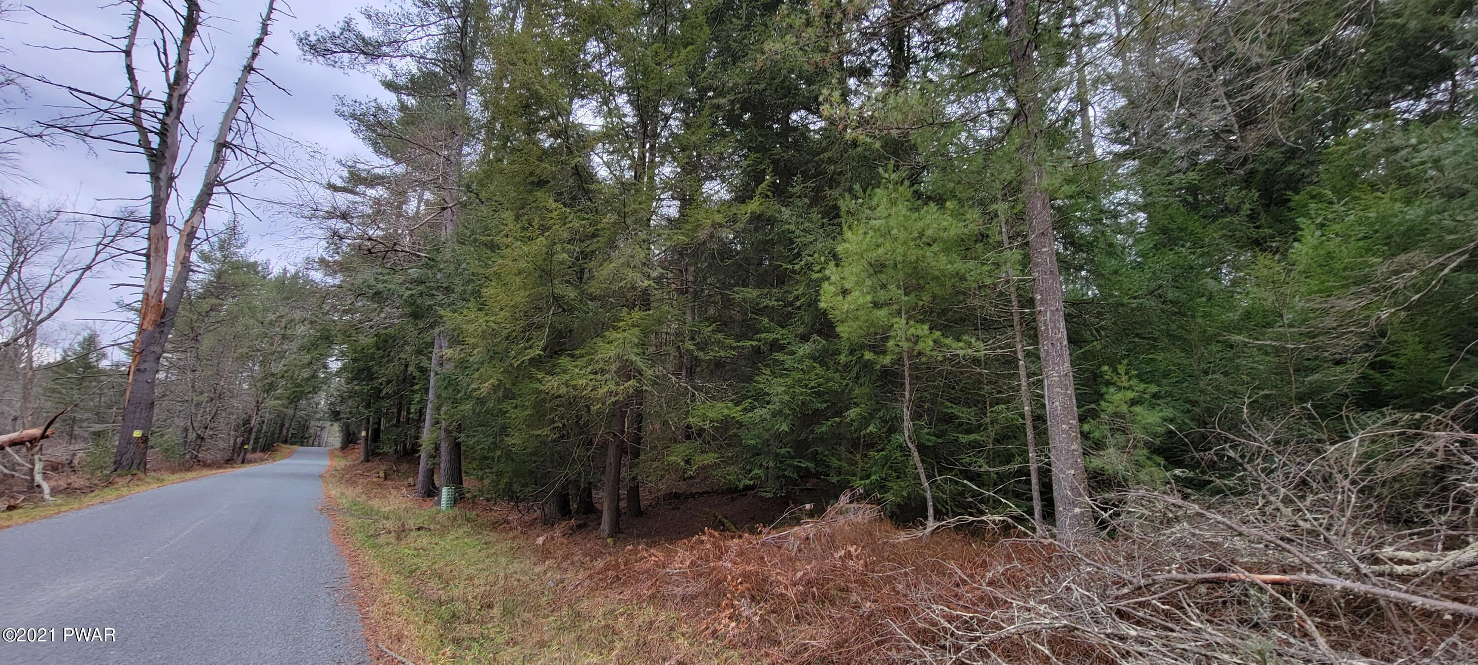 Lot 43 Swamp Pond Road Narrowsburg, NY 12764 - Photo 3 of 13
