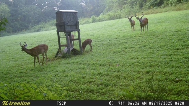 1630 Johnson Branch Road Pulaski, TN 38478 - Photo 40 of 43