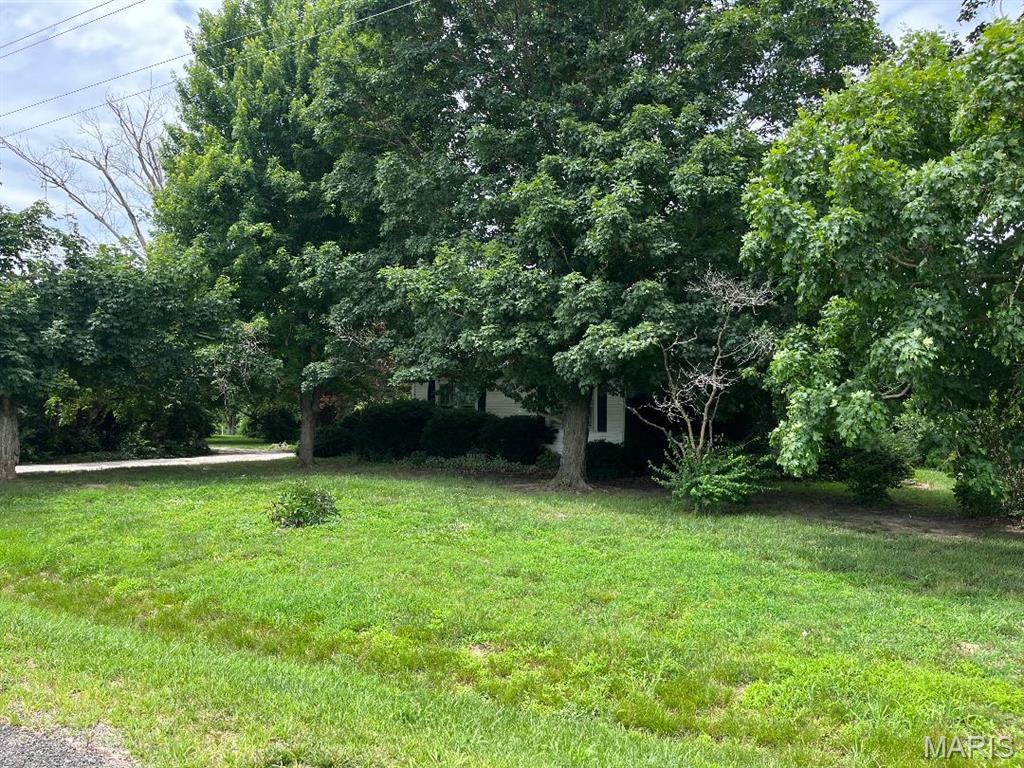 28986 Delhi Road Jerseyville, IL 62052 - Photo 22 of 28