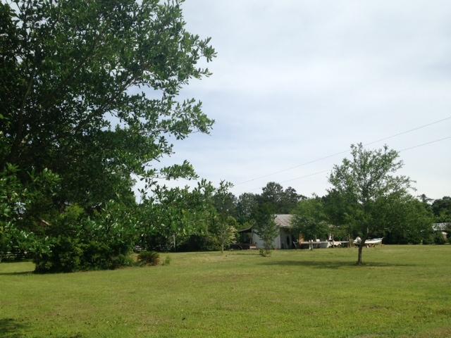 photo1