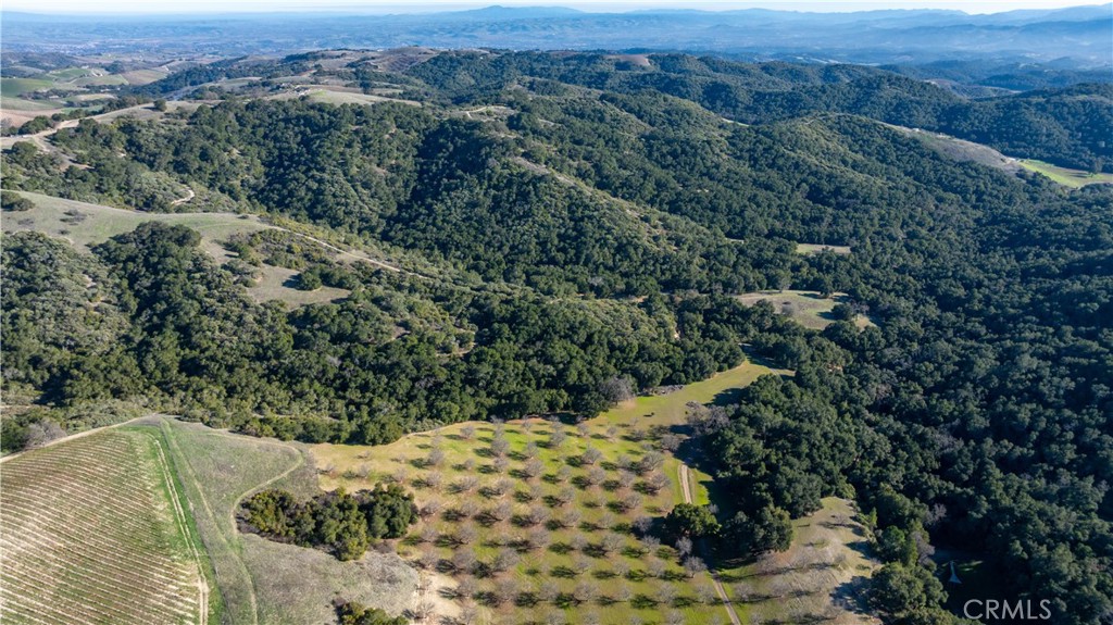 0 Adelaida Road Paso Robles, CA 93446 - Photo 18 of 36 a view of a forest with a mountain