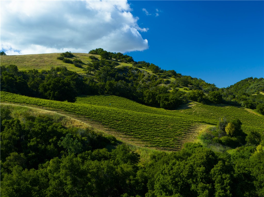 0 Adelaida Road Paso Robles, CA 93446 - Photo 2 of 36 a view of a grassy field with an ocean