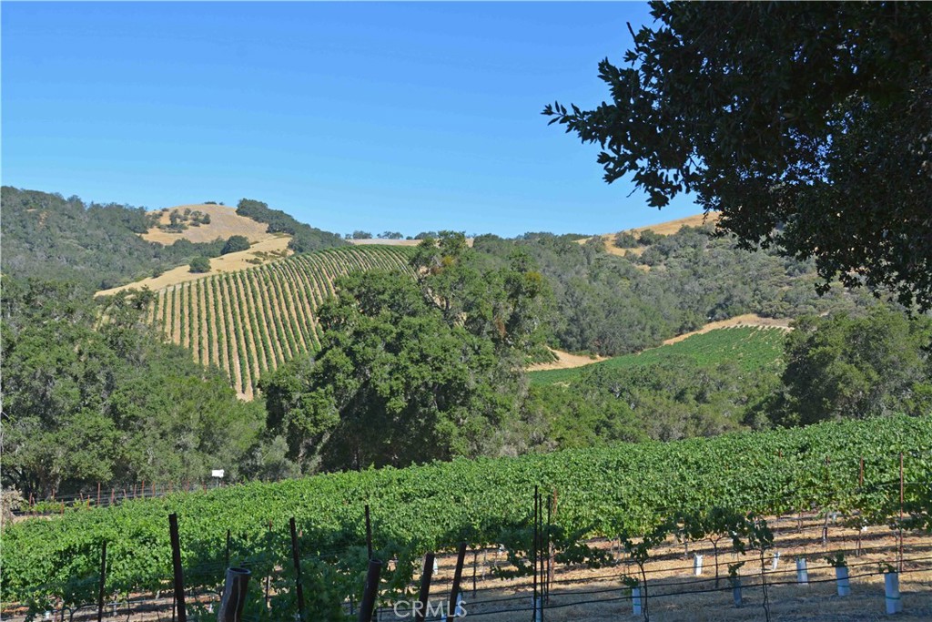 0 Adelaida Road Paso Robles, CA 93446 - Photo 26 of 36 a view of a city with lush green forest