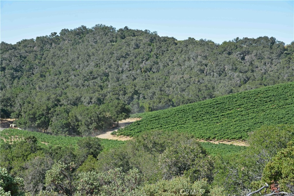 0 Adelaida Road Paso Robles, CA 93446 - Photo 27 of 36 a view of a lush green forest with a mountain