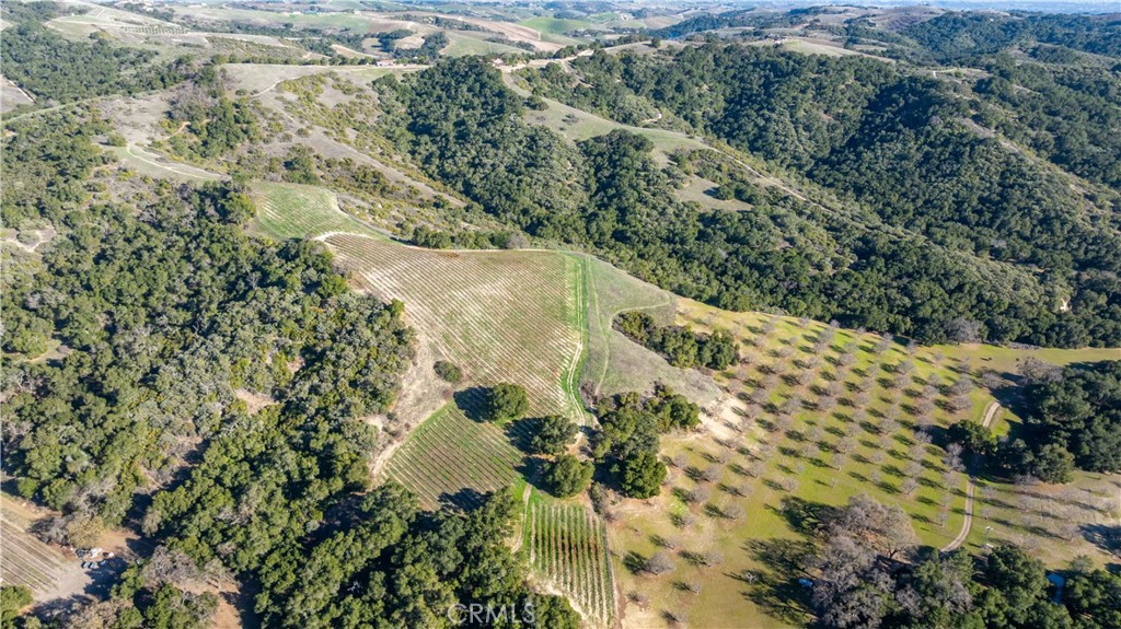 0 Adelaida Road Paso Robles, CA 93446 - Photo 33 of 36 a view of a forest with a tree