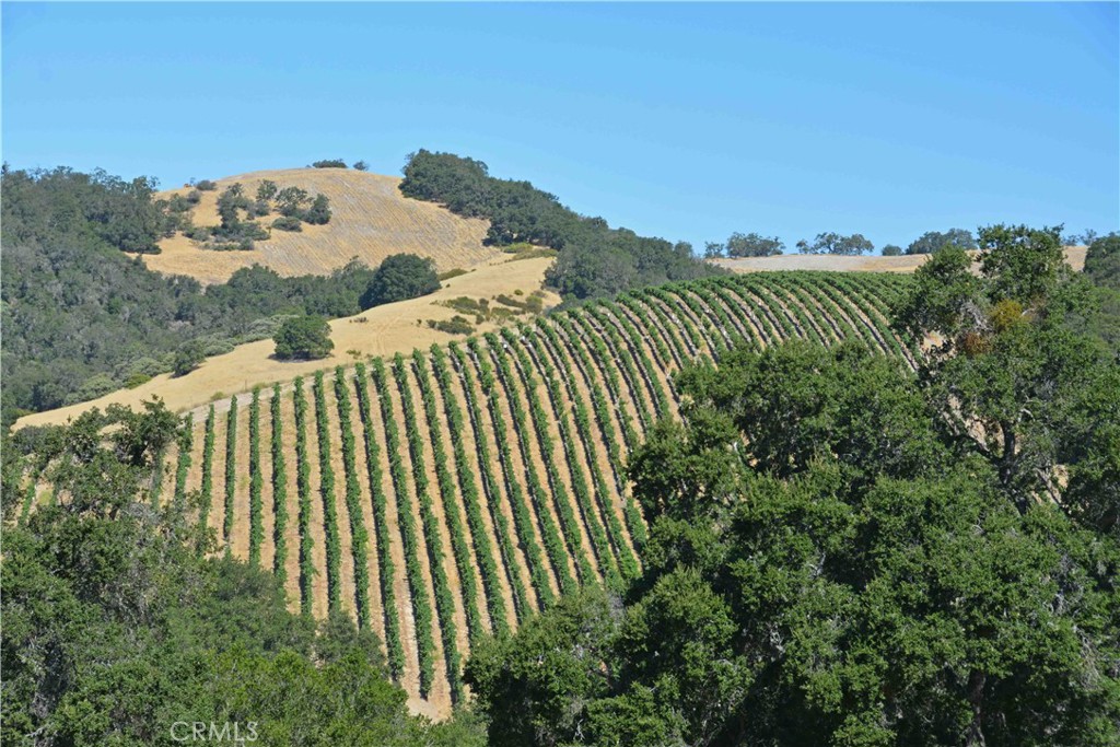 0 Adelaida Road Paso Robles, CA 93446 - Photo 6 of 36