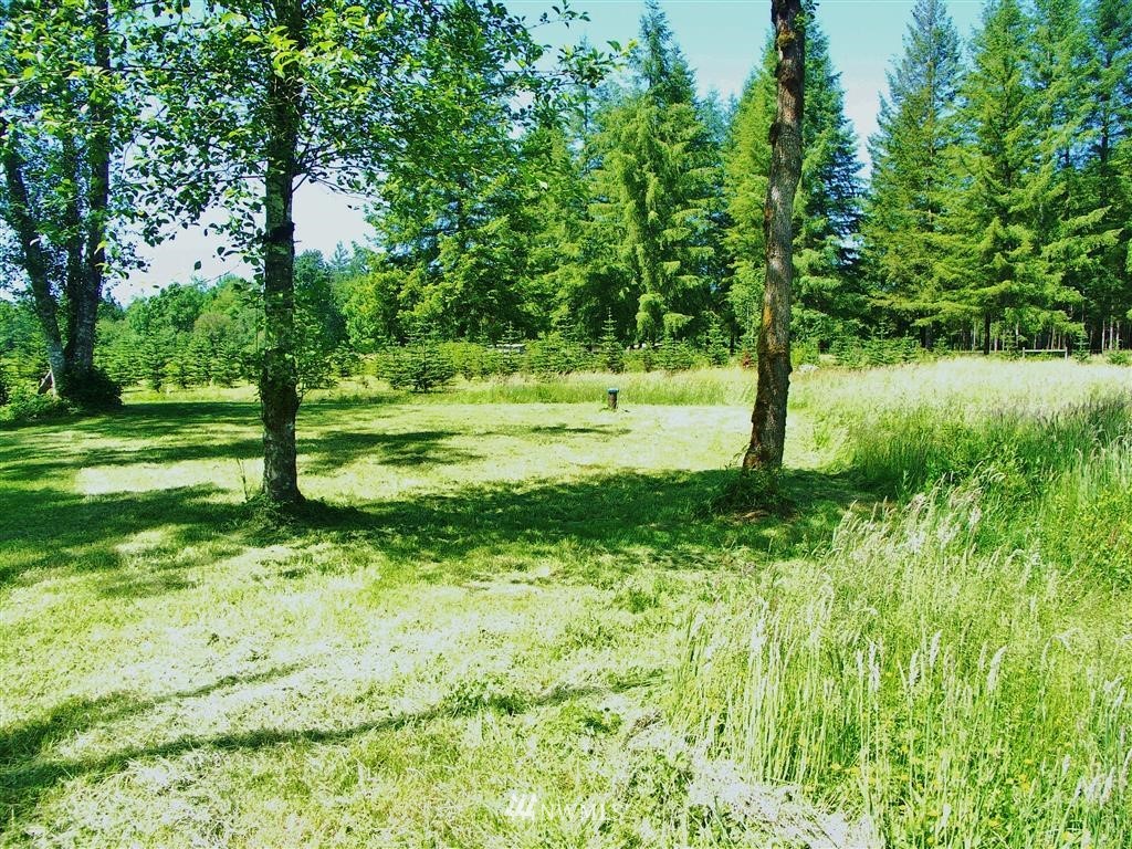 159 Johnson Road Onalaska, WA 98570 - Photo 1 of 13 Gallery Image 1