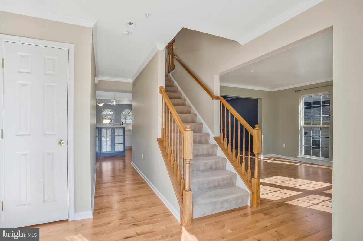 Main Level Hardwood Floors