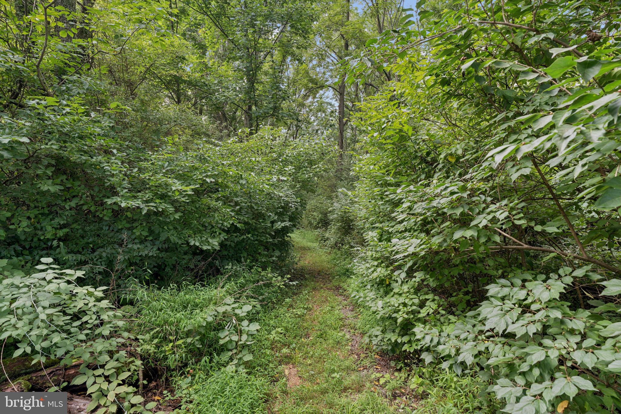 14678 Taylor Hill Road Glen Rock, PA 17327 - Photo 67 of 77 Walking Path Entrance