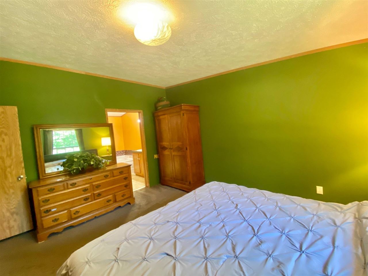 4030 Rice Road Benzonia, MI 49616 - Photo 14 of 42 1888664-13.JPG