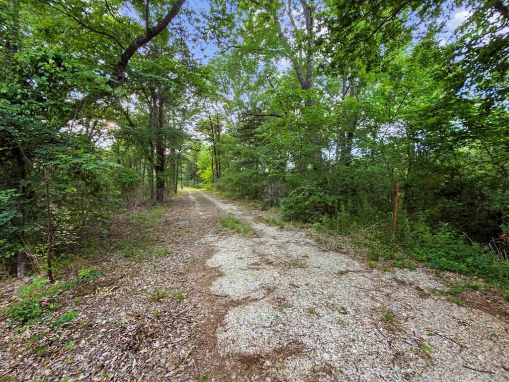 Tbd-2 Singletree Road Denison, TX 75021 - Photo 6 of 23 a view of a forest with trees in the background
