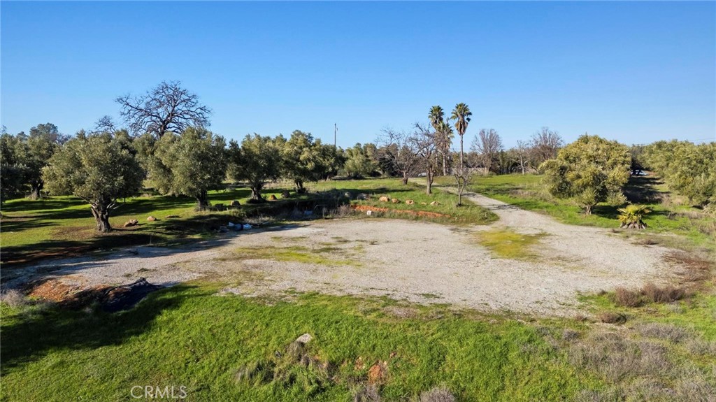 7300 Lower Wyandotte Road Oroville, CA 95966 - Photo 3 of 19 a view of a yard with wooden fence