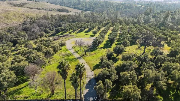 a view of a yard with plants