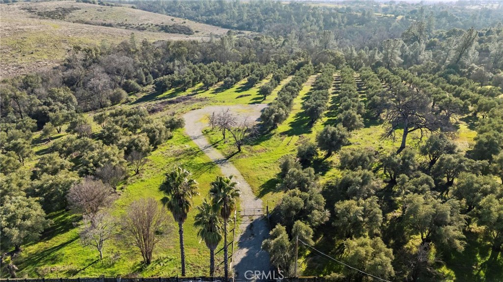 7300 Lower Wyandotte Road Oroville, CA 95966 - Photo 5 of 19 a view of a yard with plants