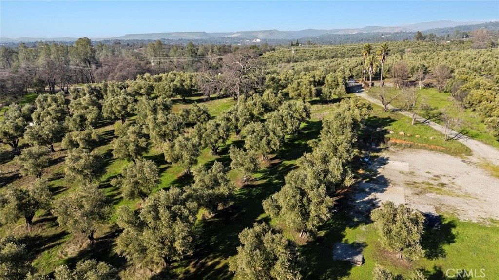 7300 Lower Wyandotte Road Oroville, CA 95966 - Photo 6 of 19