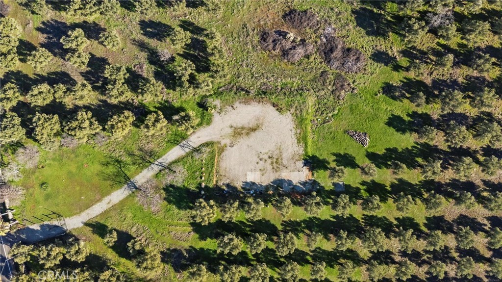 7300 Lower Wyandotte Road Oroville, CA 95966 - Photo 8 of 19 a plant that is in a plant