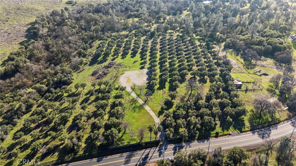 7300 Lower Wyandotte Road Oroville, CA 95966 - Photo 9 of 19 a view of a yard