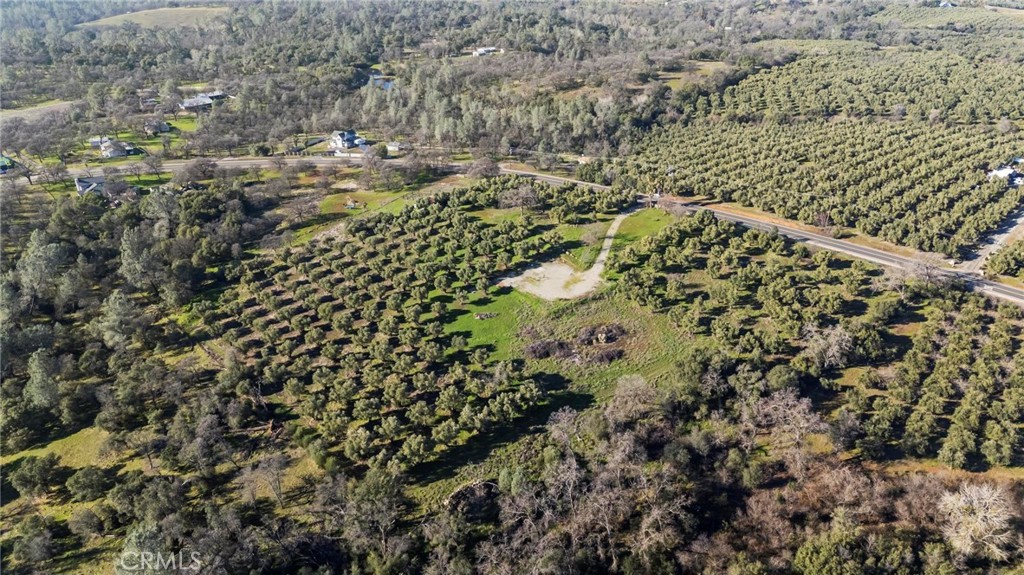 7300 Lower Wyandotte Road Oroville, CA 95966 - Photo 10 of 19
