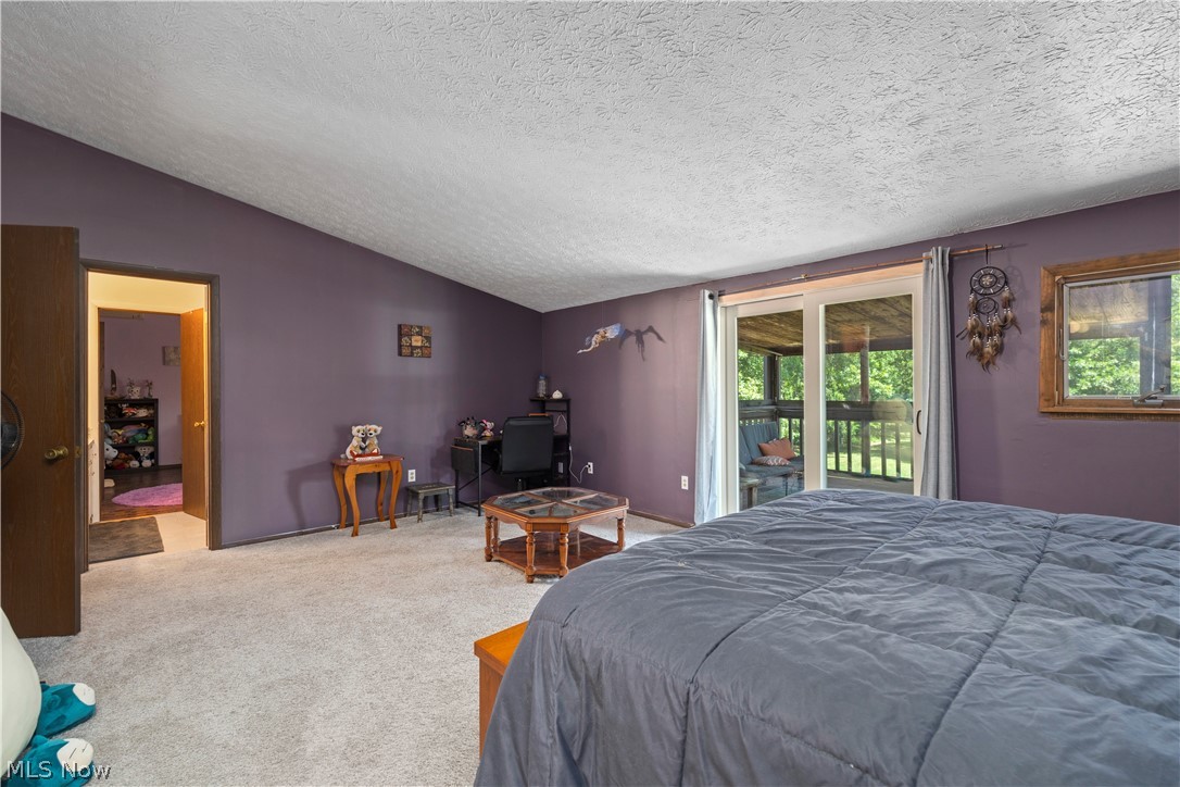 2565 Abbe Road North Sheffield Lake, OH 44054 - Photo 22 of 32 Upstairs bedroom featuring access to exterior, lofted ceiling, multiple windows, and a textured ceiling