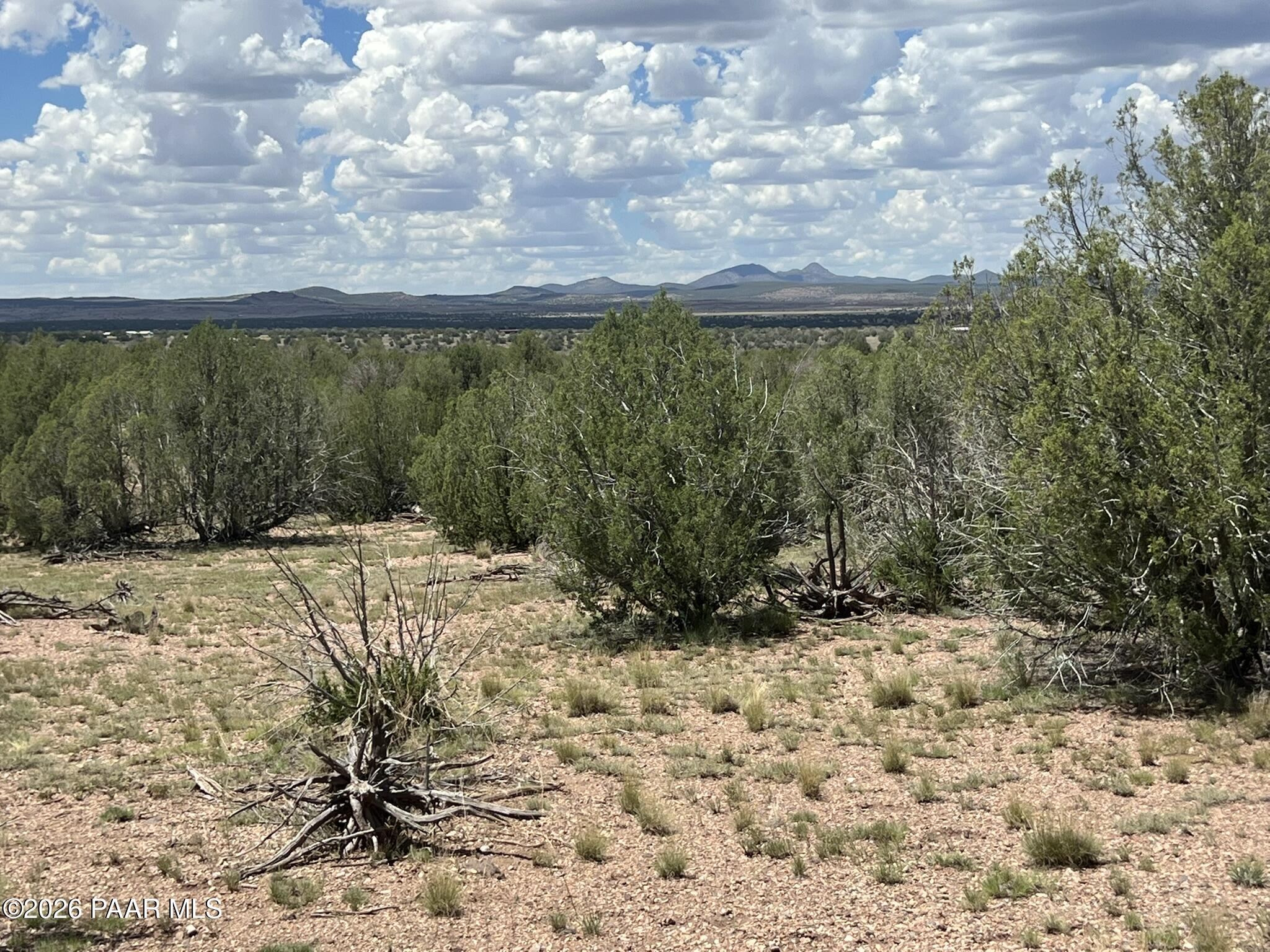 70 Arizona Road Ash Fork, AZ 86320 - Photo 9 of 11 IMG_0186