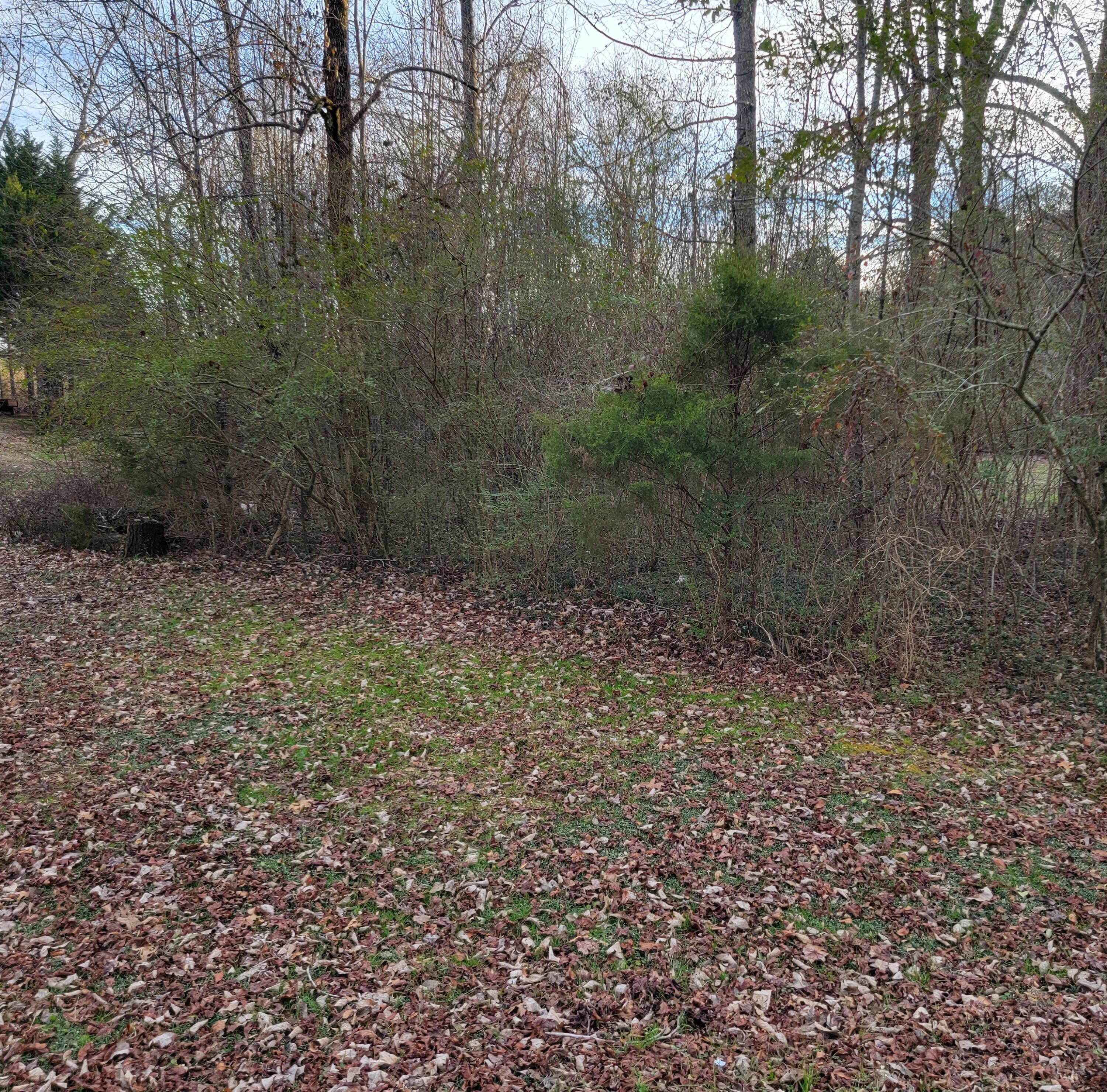 0 Eagle Cliff Drive Flintstone, GA 30725 - Photo 2 of 4 0 eagle cliff