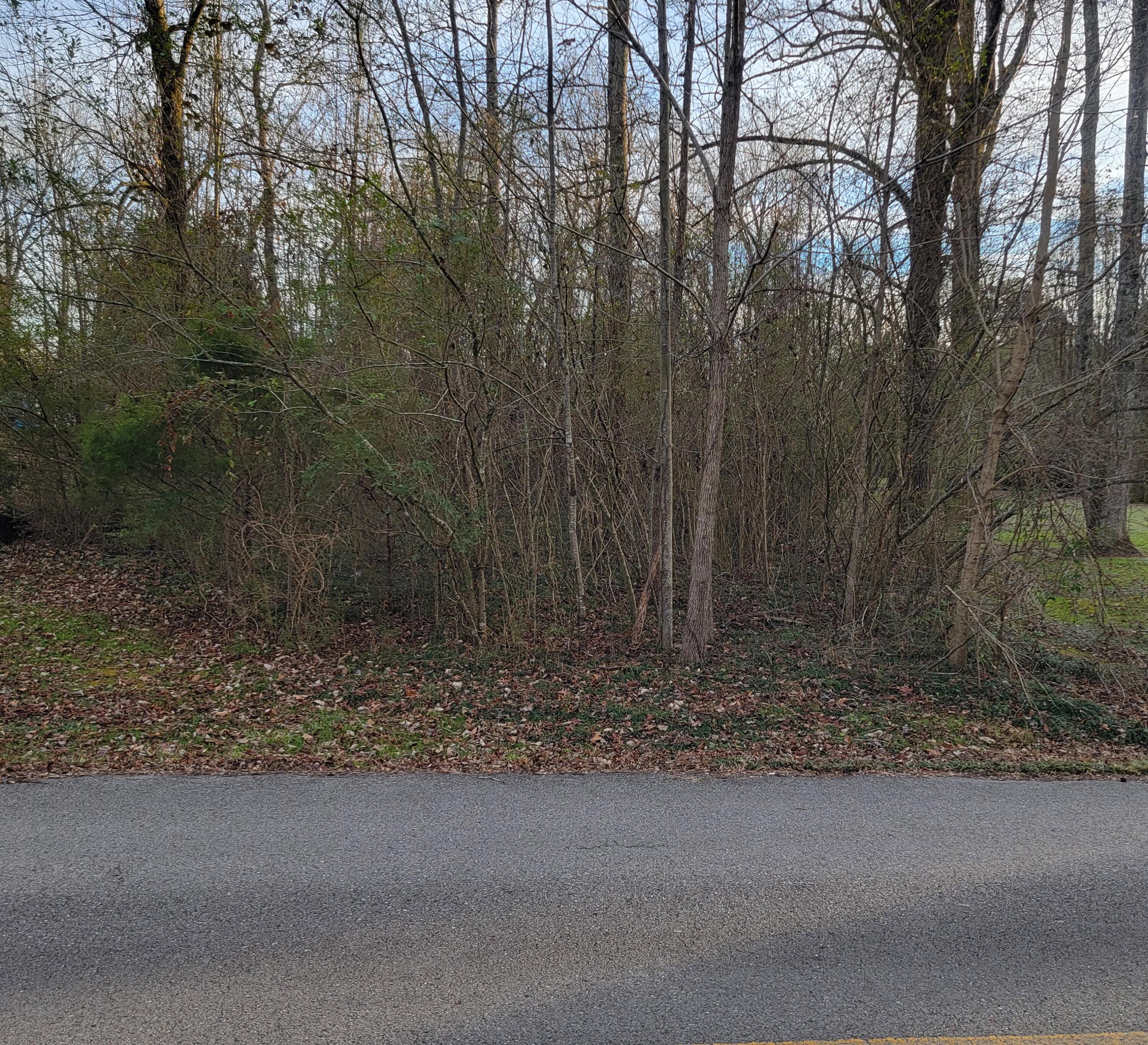 0 Eagle Cliff Drive Flintstone, GA 30725 - Photo 3 of 4 0 eagle cliff 2