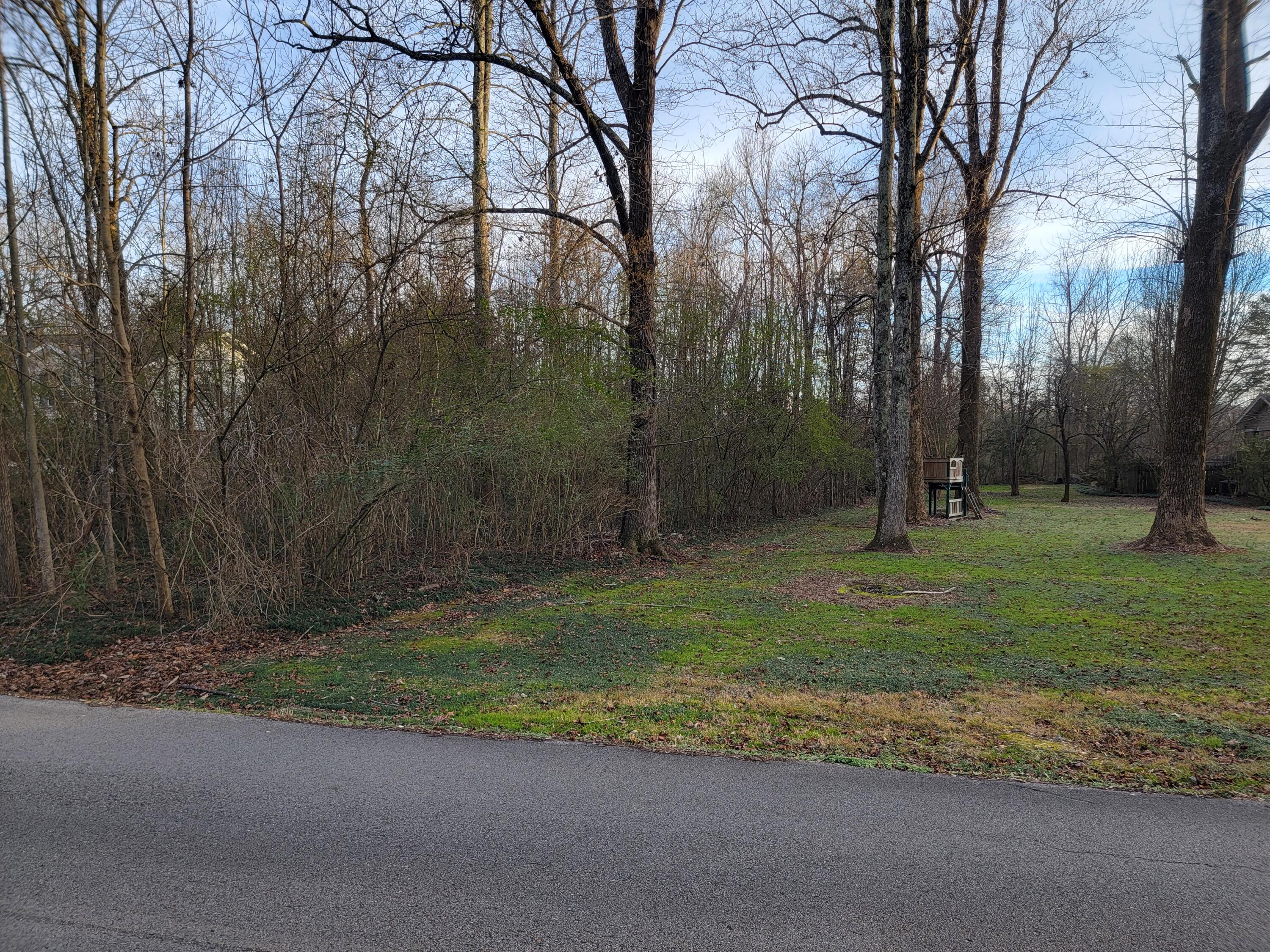 0 Eagle Cliff Drive Flintstone, GA 30725 - Photo 4 of 4 20240201_171453