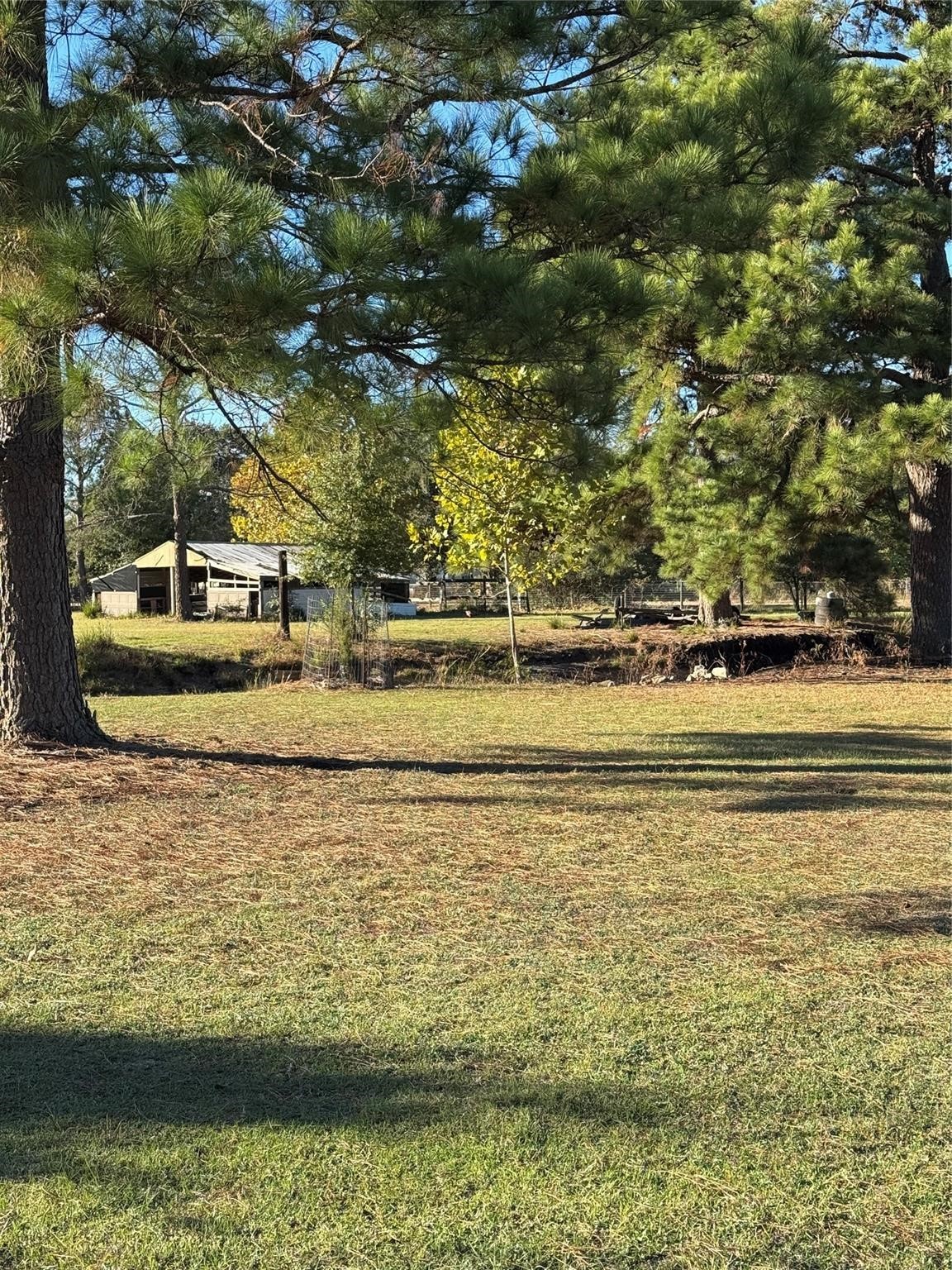 17631 Kickapoo Road Waller, TX 77484 - Photo 9 of 10