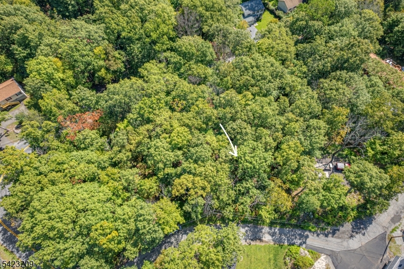5 Split Rock Lane Vernon, NJ 07461 - Photo 2 of 8 a view of a garden