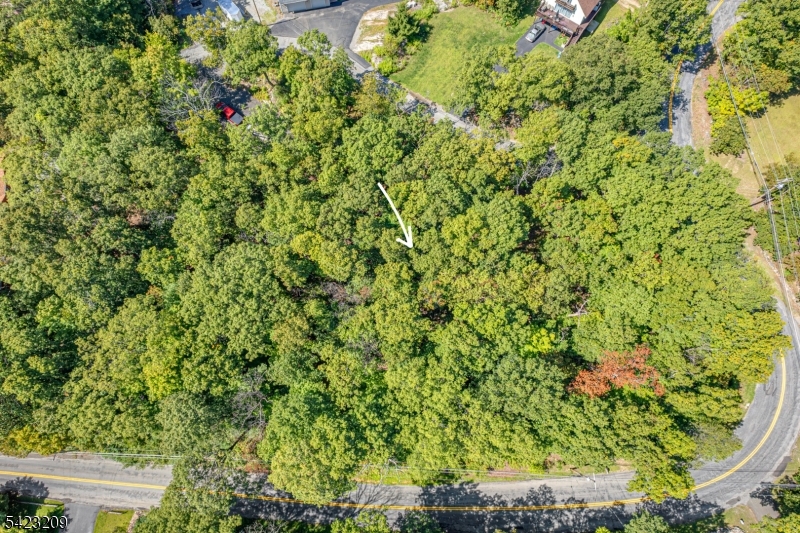 5 Split Rock Lane Vernon, NJ 07461 - Photo 3 of 8 a view of a yard with a tree