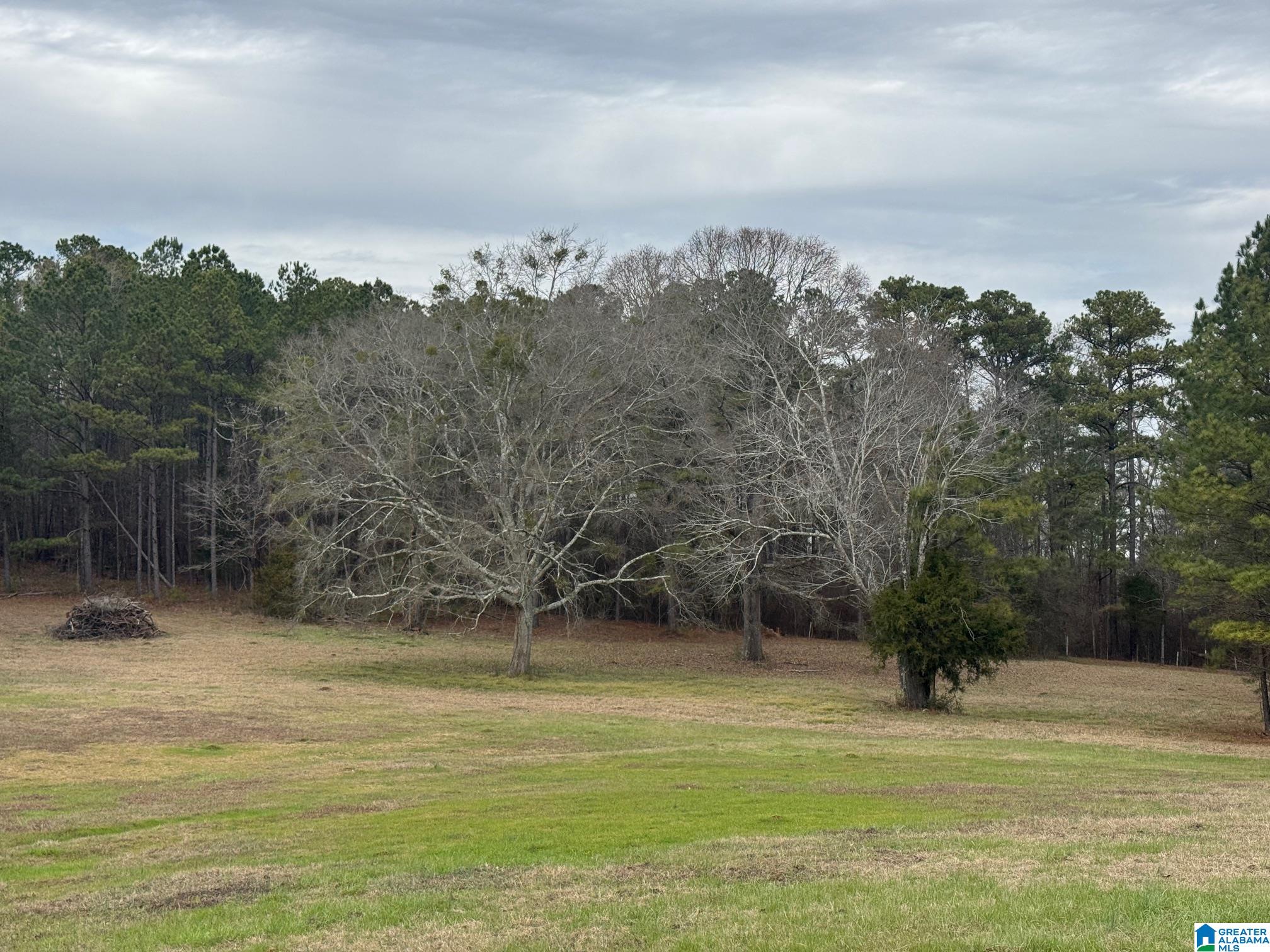3953 Logan Martin Dam Road Cropwell, AL 35054 - Photo 73 of 99