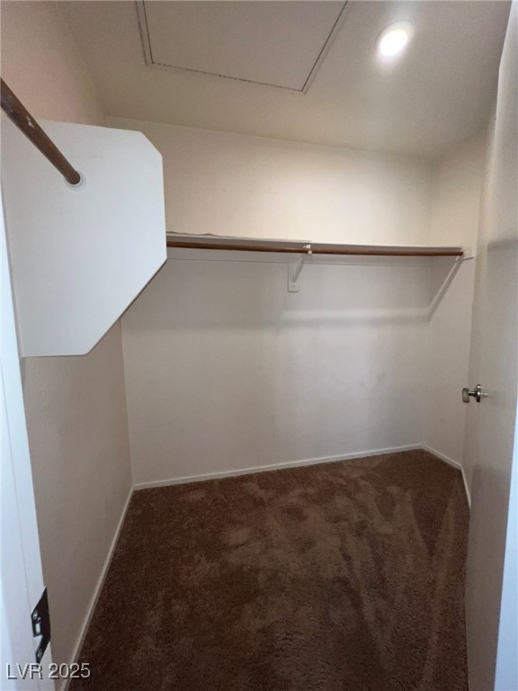 8028 Desire Drive Las Vegas, NV 89128 - Photo 11 of 15 Walk in closet with dark colored carpet