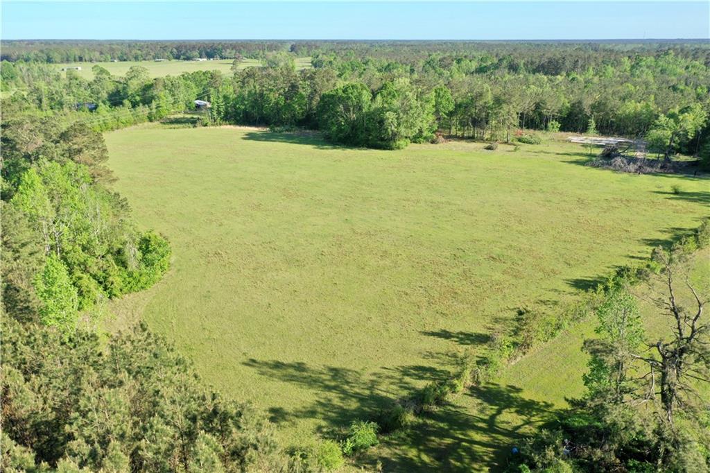 0 Harper Road Hineston, LA 71438 - Photo 3 of 10 Gallery Image 3