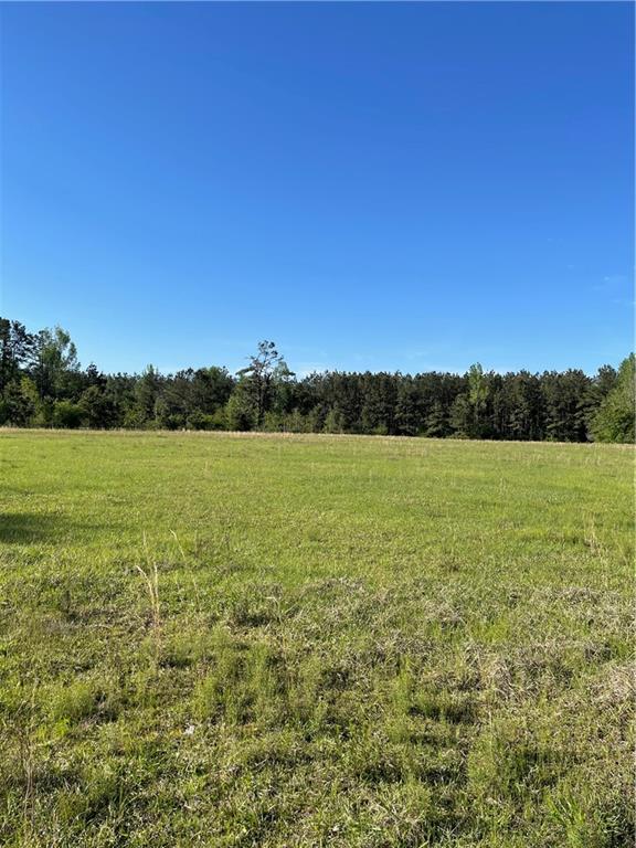 0 Harper Road Hineston, LA 71438 - Photo 9 of 10 Gallery Image 9