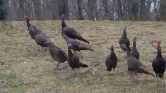 $375,000 | 29050 Wilderness Trail, Sturgis, MI 49091