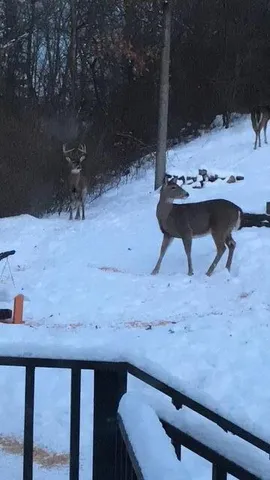 $375,000 | 29050 Wilderness Trail, Sturgis, MI 49091