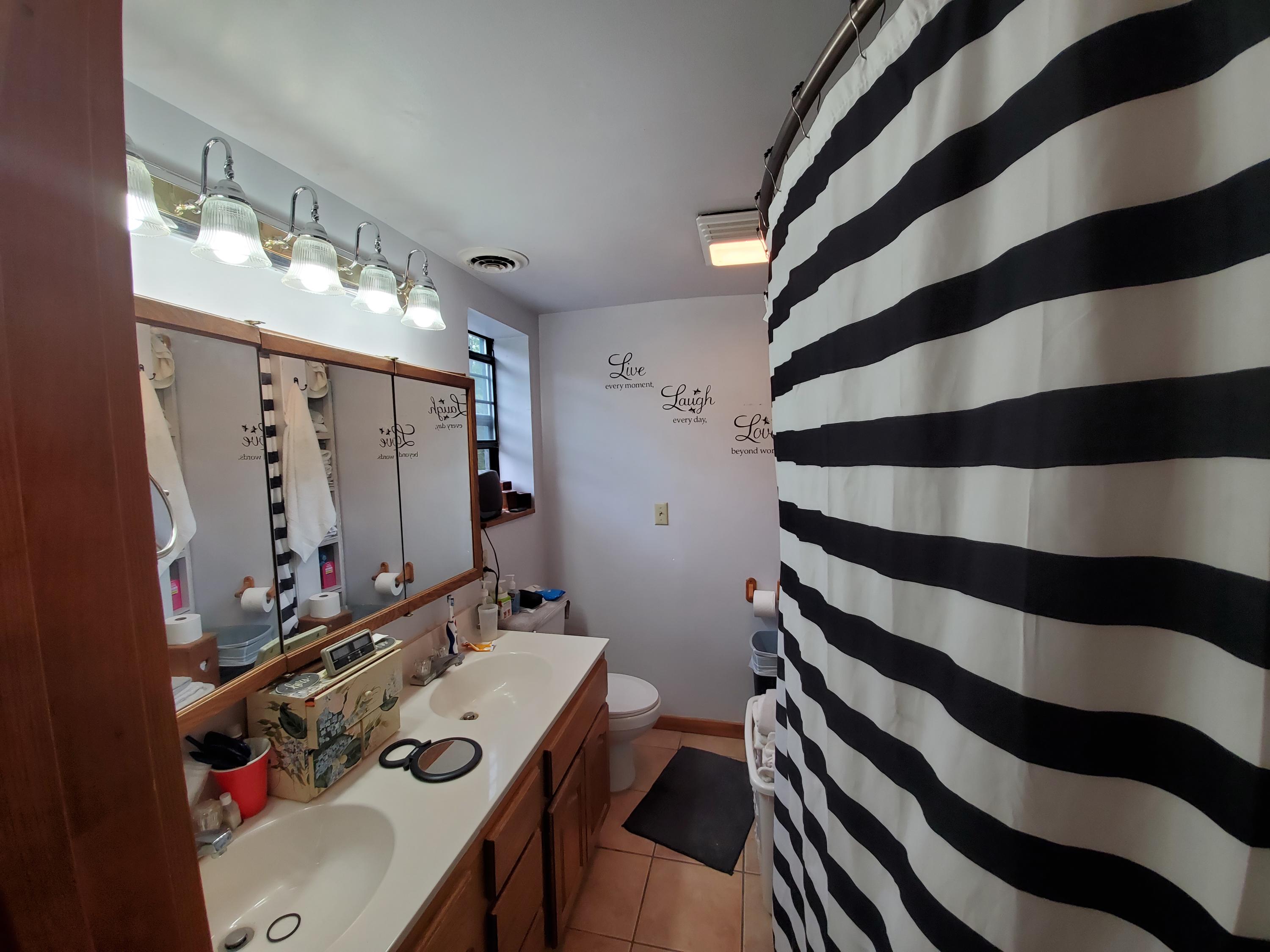 6223 Shoestring Way Cosby, TN 37722 - Photo 22 of 39 Ensuite bathroom