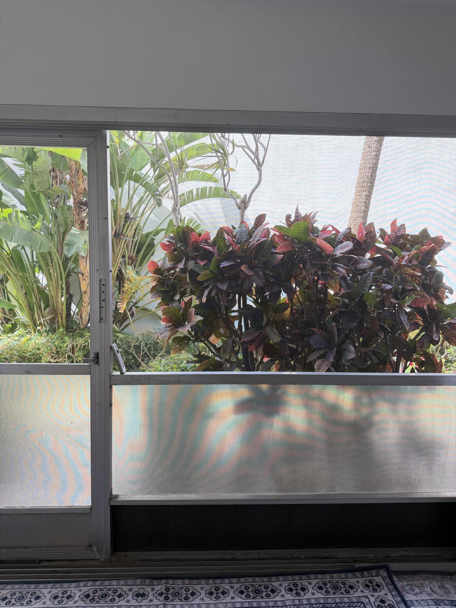 2050 Northeast 39th Street, Unit S103 Lighthouse Point, FL 33064 - Photo 29 of 46 IMG_5110