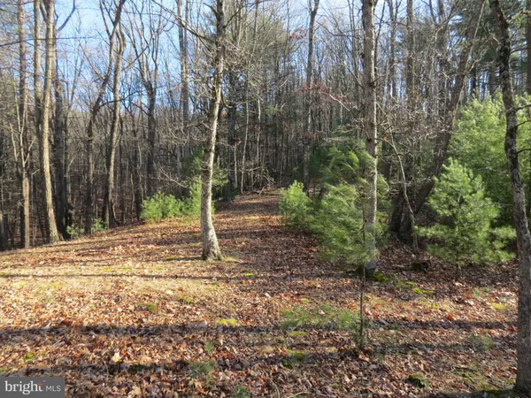 $24,000 | 10 Cedarwood Drive Road, Mathias, WV 26812