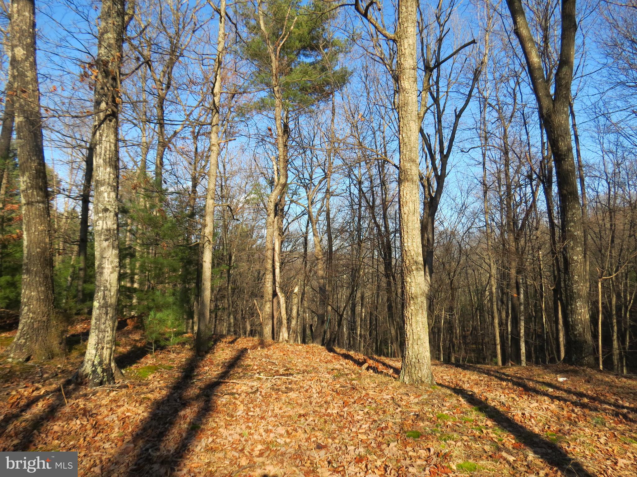 10 Cedarwood Drive Road Mathias, WV 26812 - Photo 2 of 11 a view of a backyard of the house