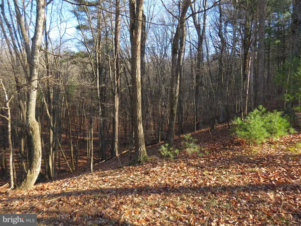 $24,000 | 10 Cedarwood Drive Road, Mathias, WV 26812