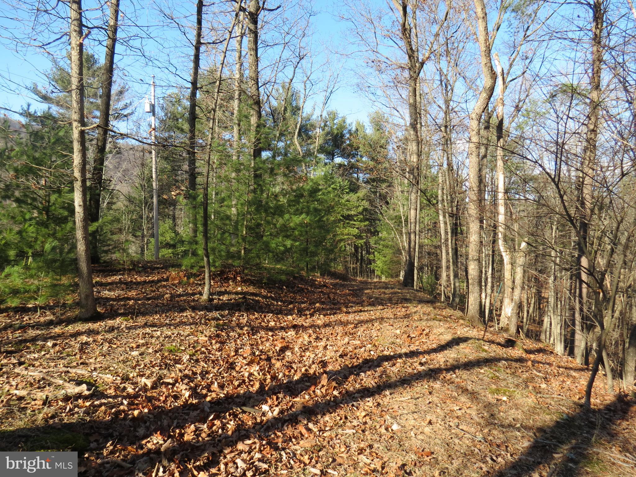 10 Cedarwood Drive Road Mathias, WV 26812 - Photo 7 of 11 a view of a backyard with trees