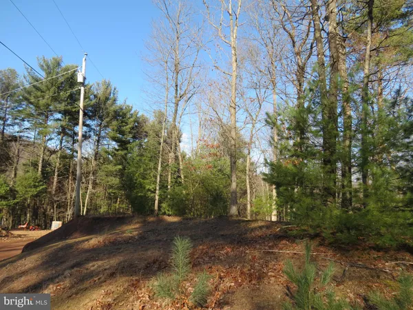 $24,000 | 10 Cedarwood Drive Road, Mathias, WV 26812