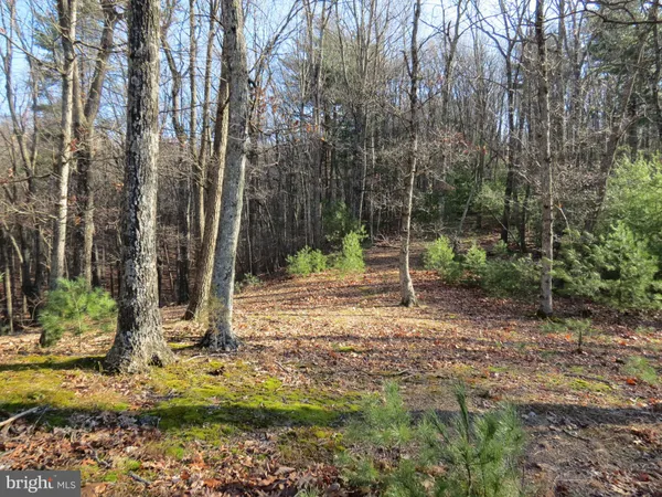 $24,000 | 10 Cedarwood Drive Road, Mathias, WV 26812