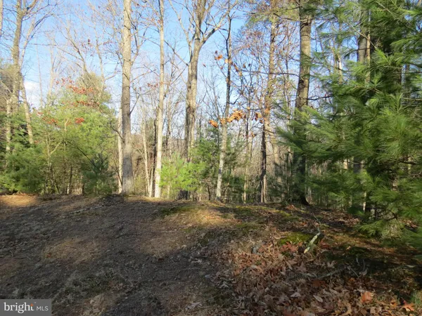 $24,000 | 10 Cedarwood Drive Road, Mathias, WV 26812