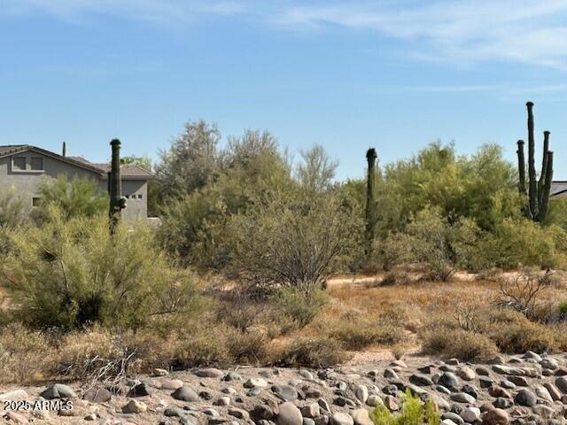 a view of a dry yard with trees