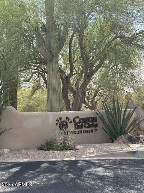 5536 East Woodstock Road, Unit 10 Cave Creek, AZ 85331 - Photo 4 of 4 a view of a tree next to a road