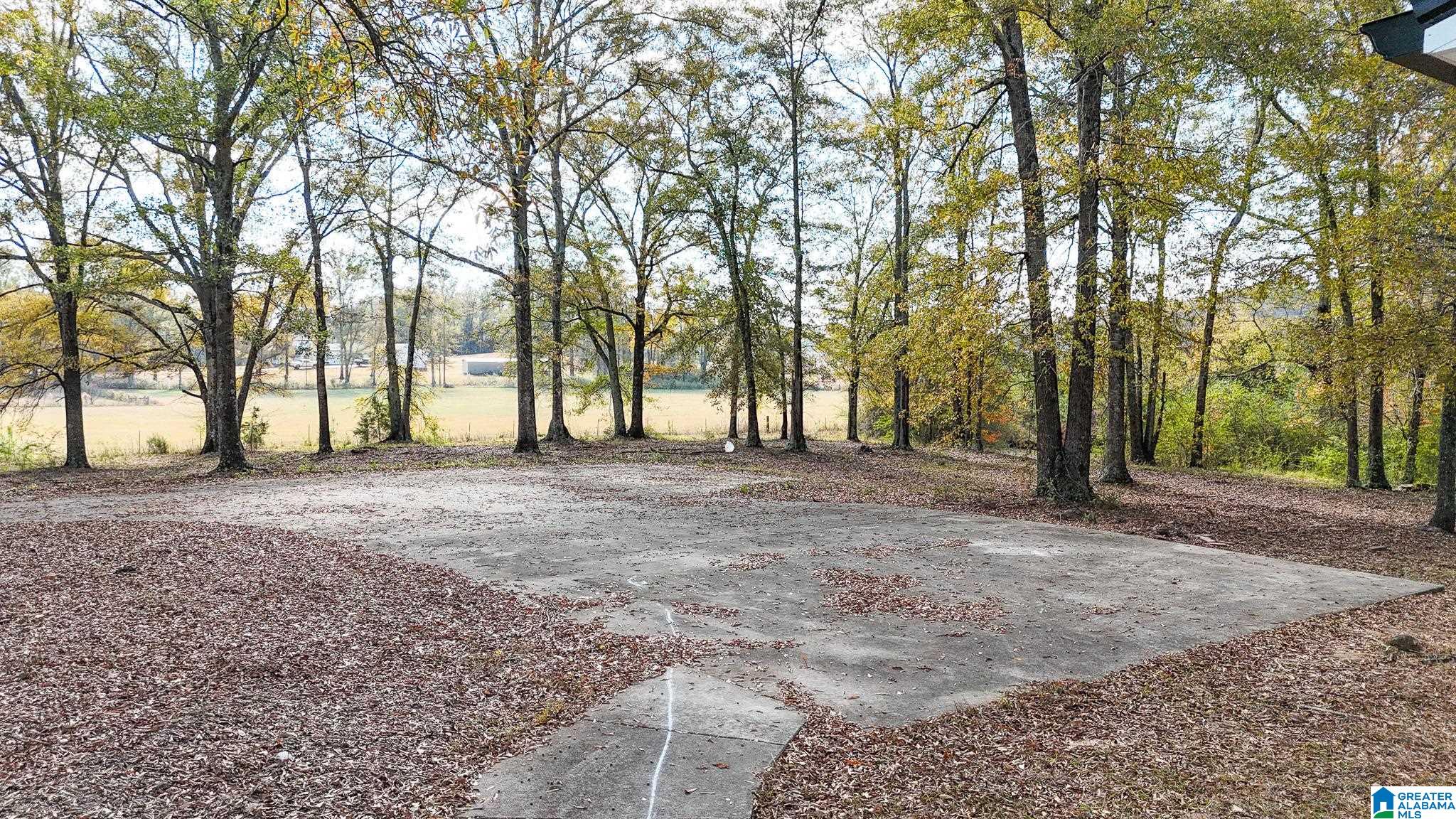 319 Henderson Road Lincoln, AL 35096 - Photo 4 of 49